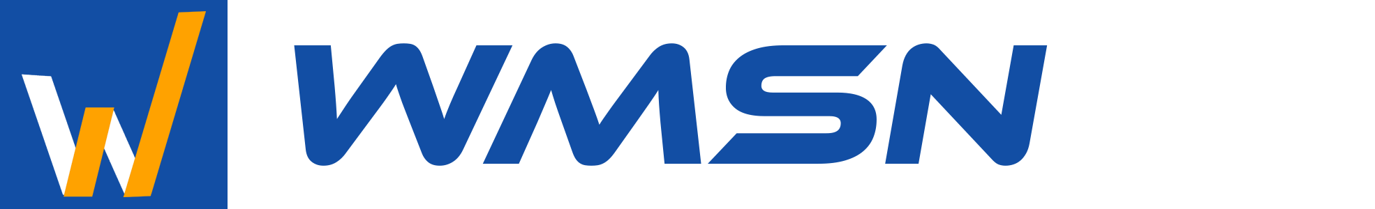 WMSN brand logo